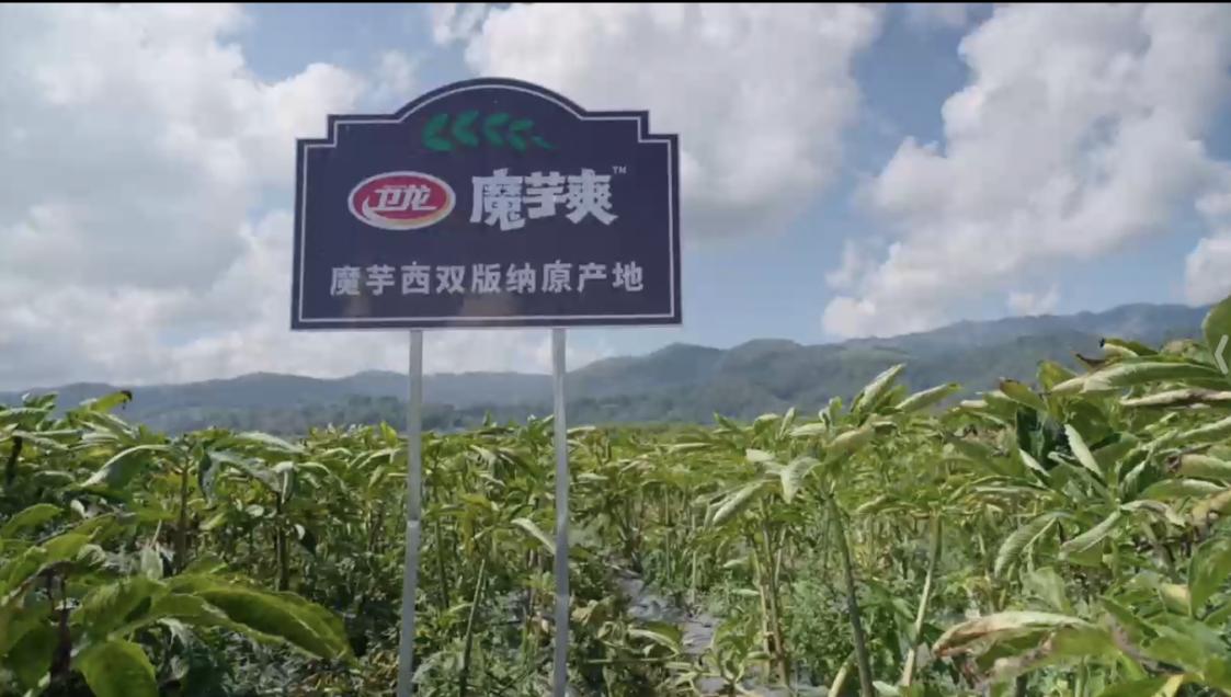 纤维爆表：魔芋爽为何成Z世代心中零食顶流？PG电子麻将胡了2