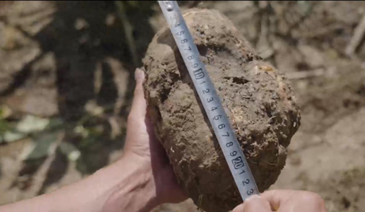 纤维爆表:魔芋爽为何成Z世代心中零食顶流?PG电子麻将胡了2试玩热量不到苹果一半膳食(图4) 纤维爆表:魔芋爽为何成Z世代心中零食顶流?PG电子麻将胡了2试玩热量不到苹果一半膳食(图4)