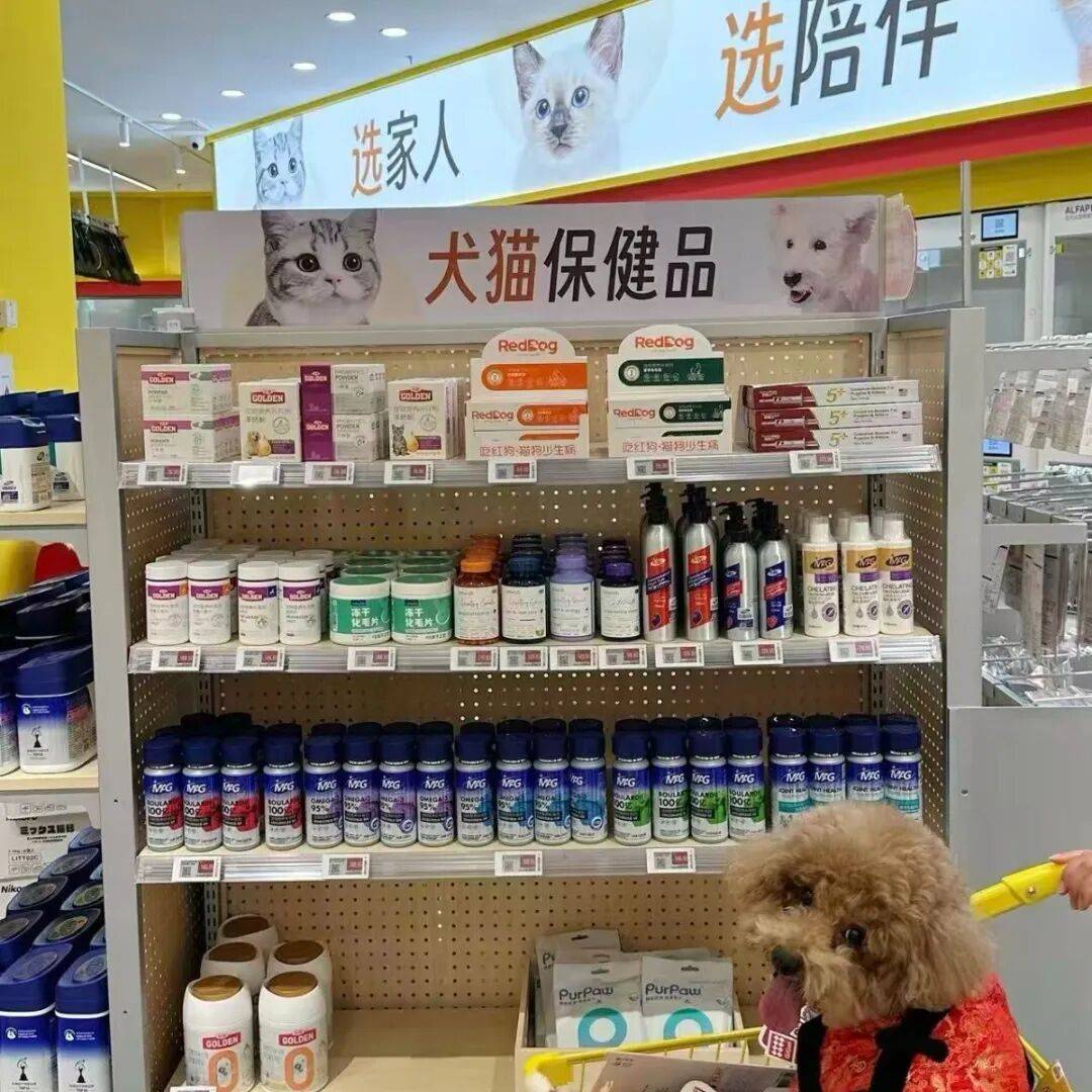 ！毛孩子也有新年三件套麻将胡了试玩模拟器爆单