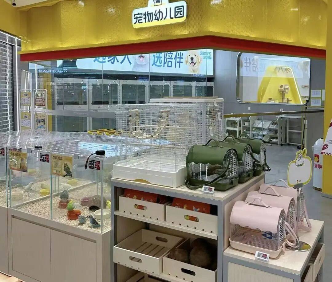 ！毛孩子也有新年三件套麻将胡了试玩模拟器爆单(图6)